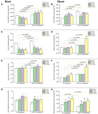 Proline-mediated regulation on jasmonate signals repressed anthocyanin accumulation through the MYB-bHLH-WDR complex in rice under chromium exposure